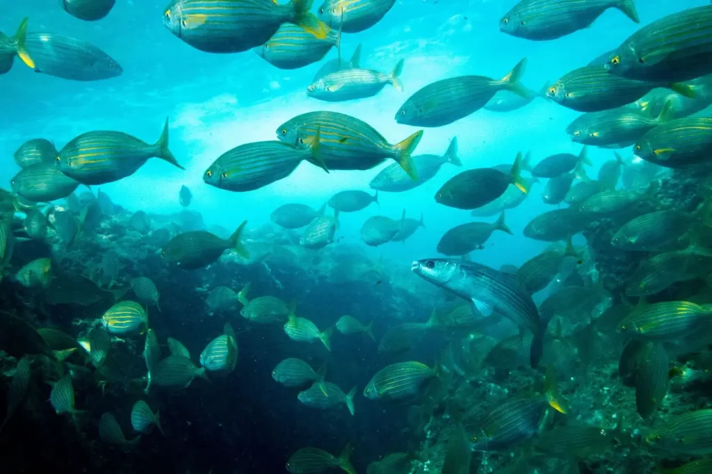 hl mbertrand 2283483 bd