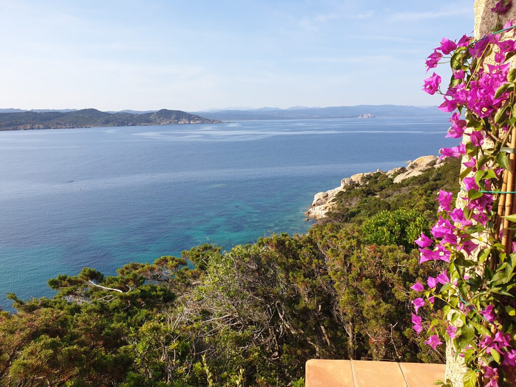 20230618 0851271 1024x768