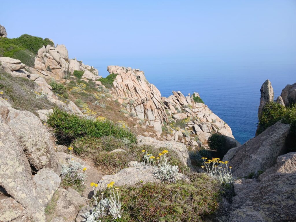 whatsapp image 2025 11 10 at 15.34.10