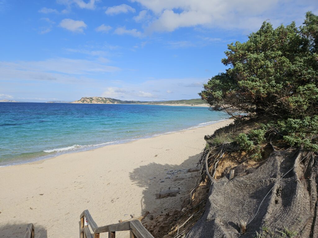 20241023 145052 20241023 145052